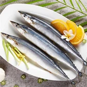 Saldēts Pacific Saury